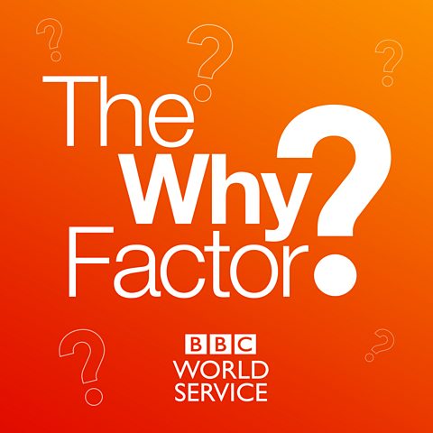 The Why Factor Why Do We Care Where We Come From The Why Factor Why Do We Care Where We Come From