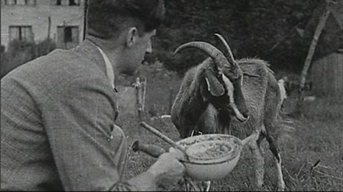 In Context: Animal Farm (part three)