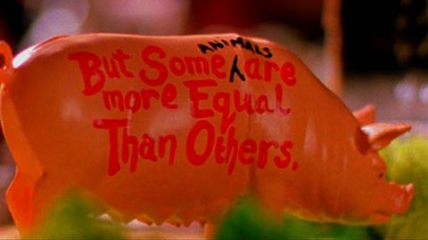 In Context: Animal Farm (part two)