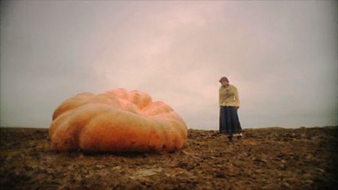 The Enormous Pumpkin