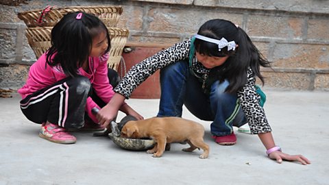 A child-led tour of Chan'gou in the Yunnan Province of China