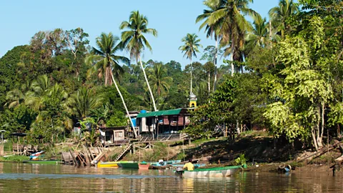 Head up the Kinabatangan River to Sukau, where you can stay in cheap chalets or organise a homestay. (Anders Blomqvist/LPI)