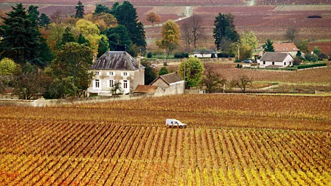 The Route des Grands Crus wends its way through Burgundy in eastern France. (Oliver Strewe/LPI)