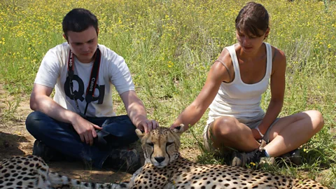 Two volunteers get close to Kiki, a female cheetah at the Naankuse project. (Gemma Marshall) 