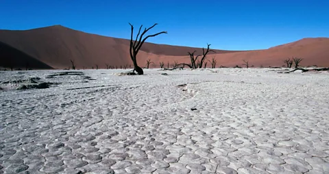 The surreal landscape of the Sossusvlei pan is the stuff of National Geographic pictures. (Dennis Jones/LPI)