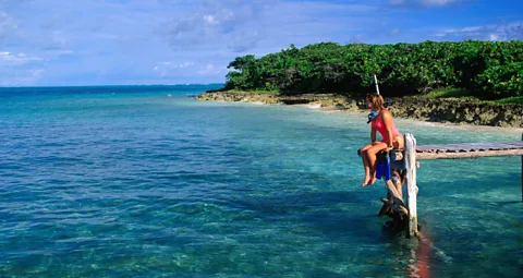 There is a wealth of snorkelling opportunities off Andros, the largest island in the Bahamas. (Michael Lawrence/LPI)