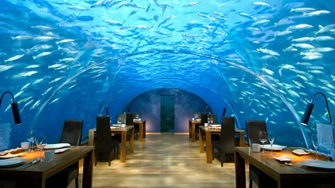 The all-glass, 12-seat Ithaa restaurant sits 16 feet below sea level. (Conrad Hotels)