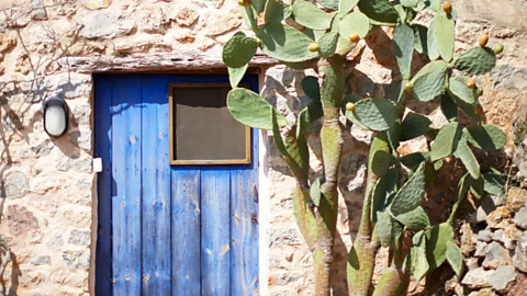 The three colours of Ibiza