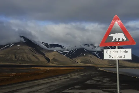 Watch out for polar bears while journeying across Svalbard. (Anthony Ham)