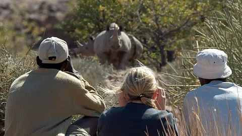 A close encounter with a rare black rhino in Namibia. (Dana Allen, Wilderness Safaris)