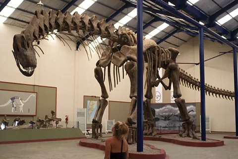 Visita los dinosaurios en el Museo Municipal Carmen Funes en Plaza Huincul. (Aaron McCoy/LPI)