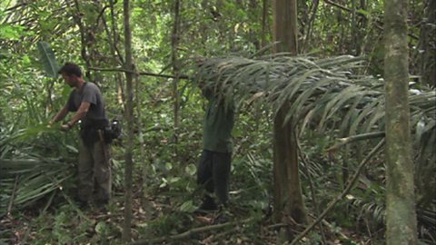 Expedition to Guyana - spending a night in the rainforest