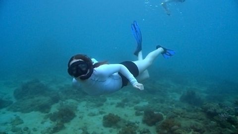 How fishing on the coral reef in Madagascar causes habitat destruction