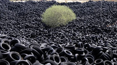 Getty Images A tree among several thousands of tonnes of used tyres piled in an abandoned recycling installation in Lachapelle-Auzac, France. (Copyright: Getty Images)