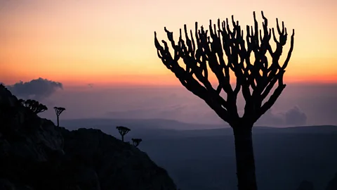 Socotra, Yemen