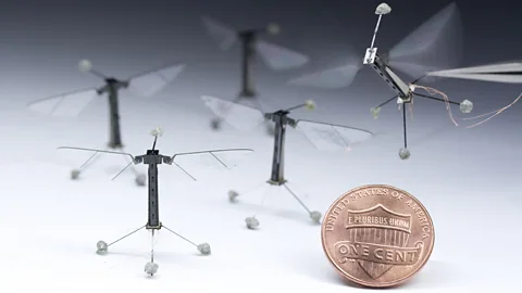 AFP/Getty Images Harvard University unveiled winged robots inspired by flies. The 80mg robots flap mechanical wings and may one day search rubble for survivors. (Copyright: AFP/Getty Images)
