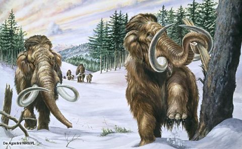 Bbc Two - Ice Age Giants - The Hunt For Pygmy Mammoths