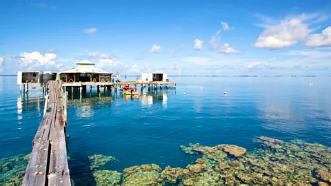 Black Pearls, French Polynesia
