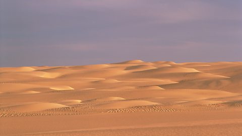 Desert