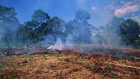 Pàirt dhen Amason a' losgadh ann an Stàit Para, Brasil