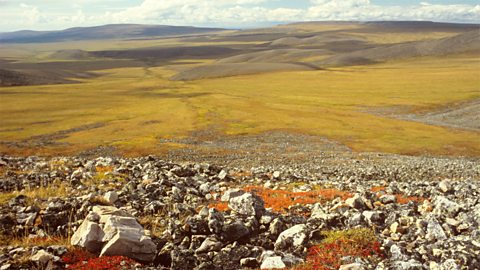 Tundra Artaigeach ann an Roinn Yokon, Canada