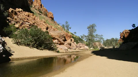 Walking through Australia s pure desert heart