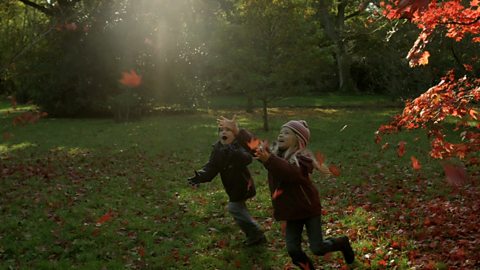 How autumn weather affects the behaviour of British animals and plants