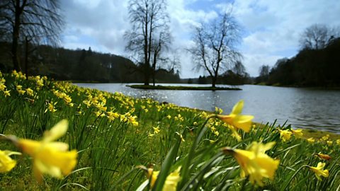 How spring weather affects the behaviour of British animals and plants