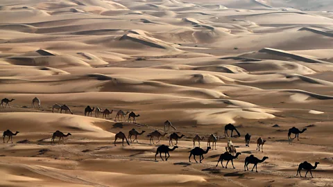 The sand dunes of the Liwa desert