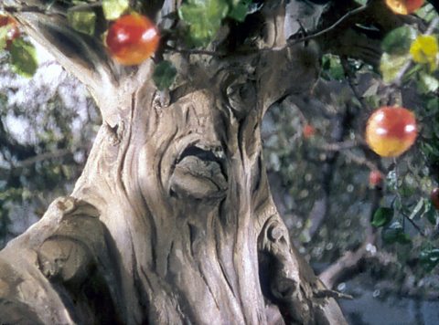 Tree from The Wizard Of Oz, 1939