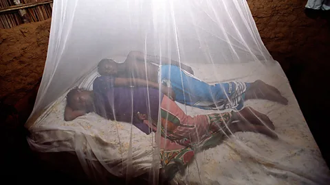Insecticide-treated bed nets help protect children and families from malaria (Science Photo Library)