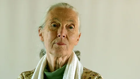 Jane Goodall: How she redefined mankind
