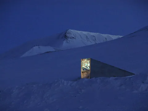 In case of disaster, around 825,000 crop plants are stored as seeds in the Svalbard Global Seed Vault (Mari Tefre/Svalbard Globale Seed Vault)