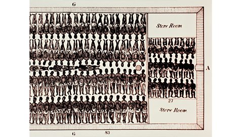 A plan showing how many slaves would fit on a ship