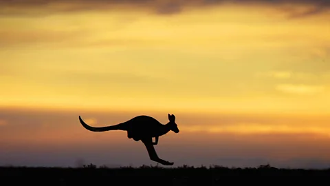 Australia's Eyre Highway. (Ian Waldie/Getty)