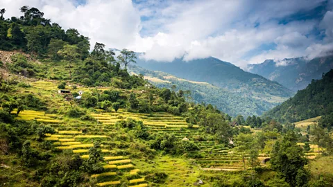 Annapurna's conservation area. (Jochen Schlenker/Getty)