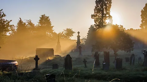 (Brain Smithson/Flickr)