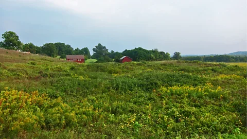 A farmhouse outside of Hudson, New York. (Grant Burningham)