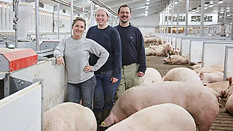 The gestation barn at The Pig Adventure (Fair Oaks Farm)