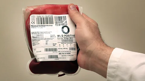 Why Do We Have Different Blood Types? A Look at Evolution and