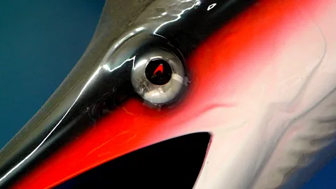 Stephenson's sailfish now has pride of place on the McLaren design studio wall (McLaren)