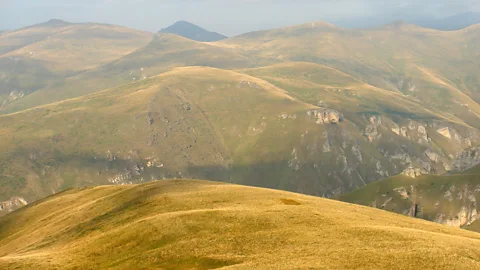 Golden grasses wave in the hills above Brod. (Gail Warrander)