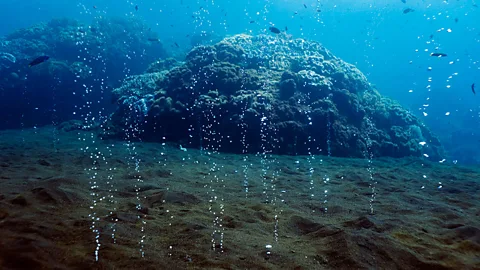 Deep sea vents - one of the few place without alien species? (SPL)
