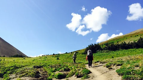 Making way under a big blue sky. (Katie Hammel)
