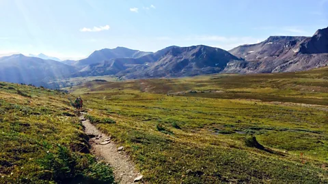 Cutting through Big Shovel Pass. (Katie Hammel)