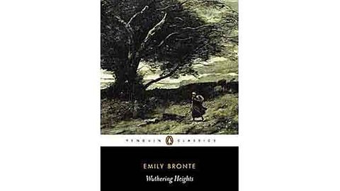 Emily Bronte published the novel under the male pseudonym of Ellis Bell.
