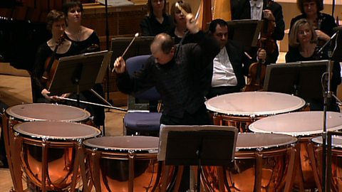 Timpani orchestra store