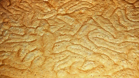 Froth collects on the surface of beer during brewing (SPL)