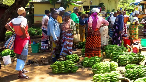 The twice-weekly Marangu market. (Richelle Harrison Plesse)