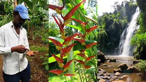 Scenes from Marangu. (Richelle Harrison Plesse)